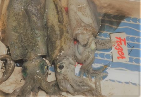 人が多かったです！